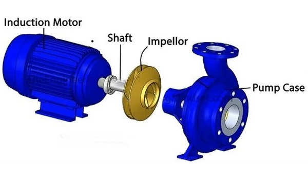 Basic structural features of water pumps